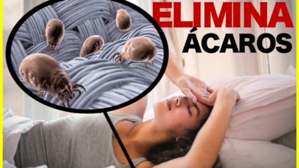 Cuatro Trucos Caseros para Eliminar los Ácaros del Colchón