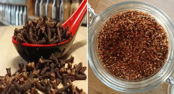 Linaza y Clavo de Olor: Beneficios y Usos para Limpiar el Colon, Eliminar Parásitos y Bajar de Peso
