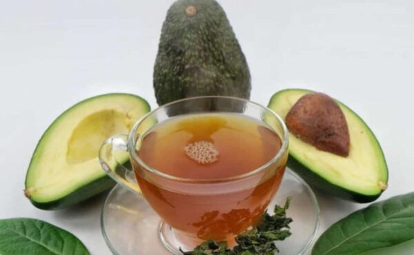 El Tesoro Oculto en tu Cocina: El Té de Hojas de Aguacate