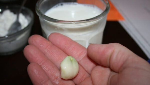 La poderosa combinación de leche y ajo: 15 beneficios y cómo aprovecharla al máximo