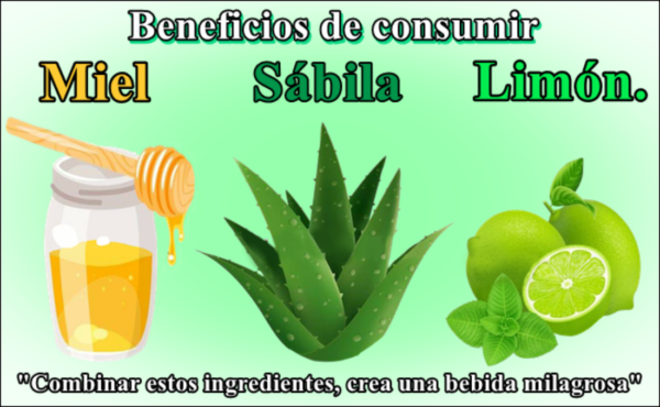Aloe Vera, Miel y Limón: Un Trío Natural para Tratar Diversas Afecciones