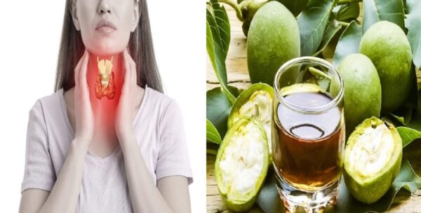 Cómo Usar las Nueces Verdes para Tratar la Tiroides: Recetas Caseras y Beneficios Sorprendentes