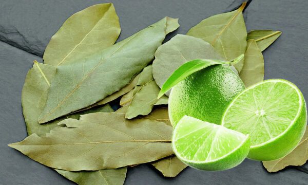 Receta Infalible de Hojas de Laurel y Limón: Mejora tu Salud con Este Poderoso Remedio Natural