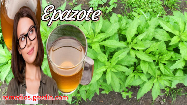 Beneficios del epazote: 30 razones para incluir esta planta en tu dieta