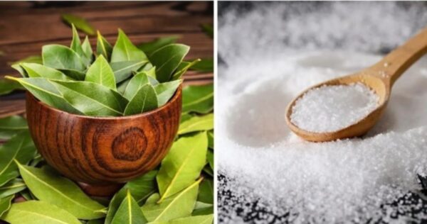 "Laurel y Sal: Un Remedio Casero que Vale su Peso en Oro para tu Salud"