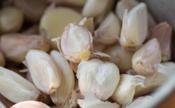 "Aprovecha los beneficios ocultos de la cáscara de ajo con estas recetas y consejos prácticos"