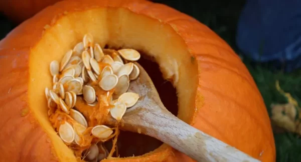 Cómo las Semillas de Calabaza Pueden Mejorar Tu Salud: 15 Beneficios y Receta Detallada