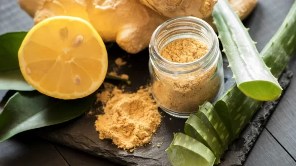 BOMBA Natural de Sábila y Jengibre: ¡Elimina Bacterias y Refuerza tu Salud con Esta Potente Receta!