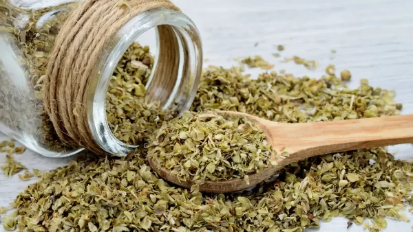 "Combate 15 Problemas de Salud con Orégano: Recetas Naturales y Consejos"