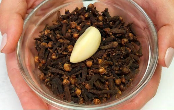 "Receta con Ajo, Clavos y Jengibre para Aliviar el Dolor de Piernas, Venas varicos, Reumatismo y Artritis"