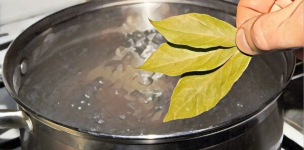 “Alivia la Tos y Refuerza Tu Salud Respiratoria con Este Jarabe Casero”