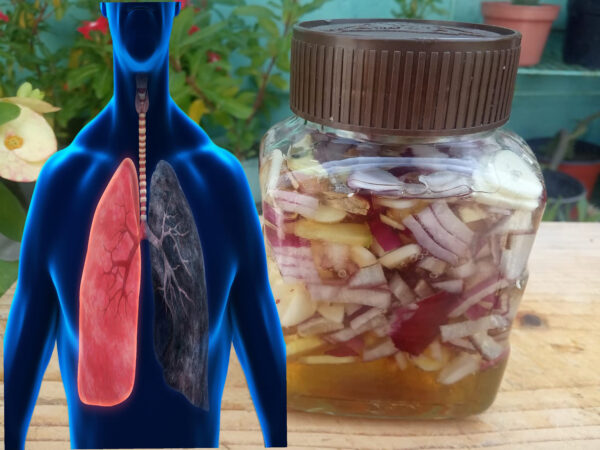"Recetas con Miel, Limón, Ajo, Cebolla y Jengibre: Soluciones Naturales para la Salud"