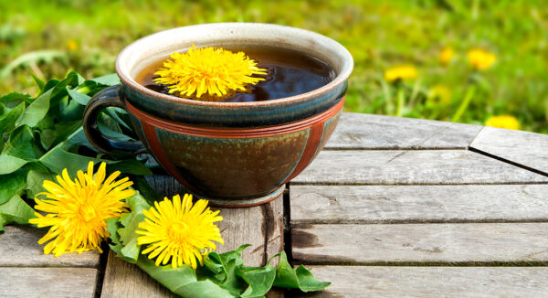 Diente de León y la Salud del Corazón: Todo lo que Necesitas Saber