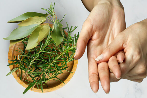 "Hojas de Laurel y Romero: Remedios Naturales para Dolores Articulares