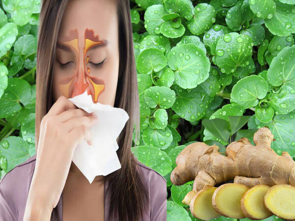 "Berro y jengibre: Remedio natural para sinusitis y tos"