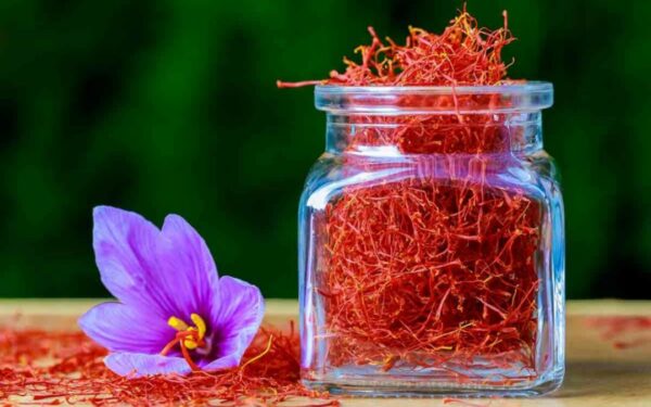 "Azafrán: Beneficios, Propiedades y Cómo Preparar su Infusión"