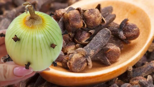 "Clavo de olor en cebolla: Remedio natural impresionante"