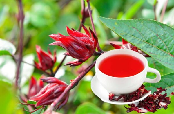 Té de Flor de Jamaica: 25 Beneficios Detallados, Receta, Propiedades y Precauciones