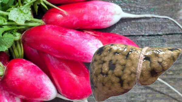 Rábano para la salud: beneficios, usos medicinales y recetas naturales