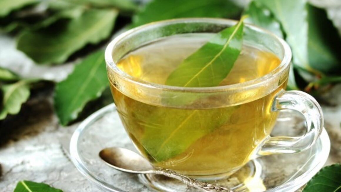 té de laurel en ayunas