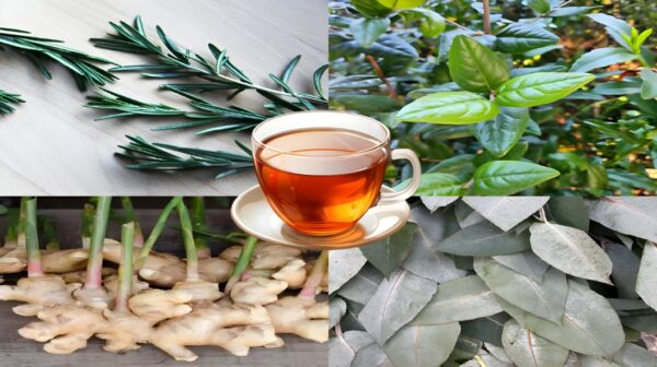 Cómo tratar la bronquitis, el hígado graso y la memoria con 4 plantas milagrosas