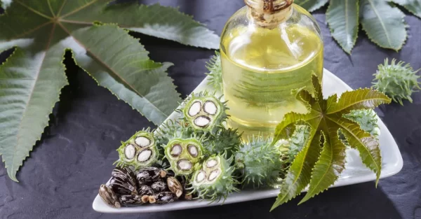 🧴 Aceite de Ricino Después de los 50: Esto es lo Que le Pasa a tu Cuerpo