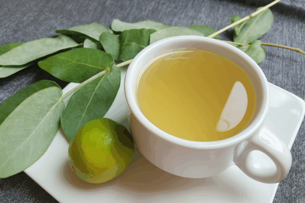 Eucalipto y Limón: Remedio Natural para Eliminar Flemas, Tos y Sinusitis