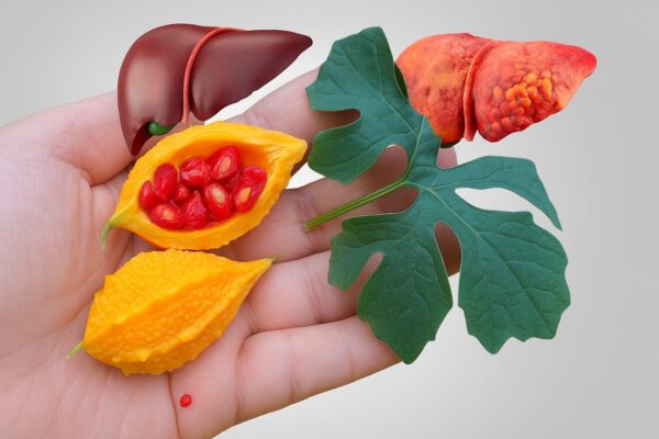 Cundeamor: usos, beneficios y remedios naturales que sí funcionan